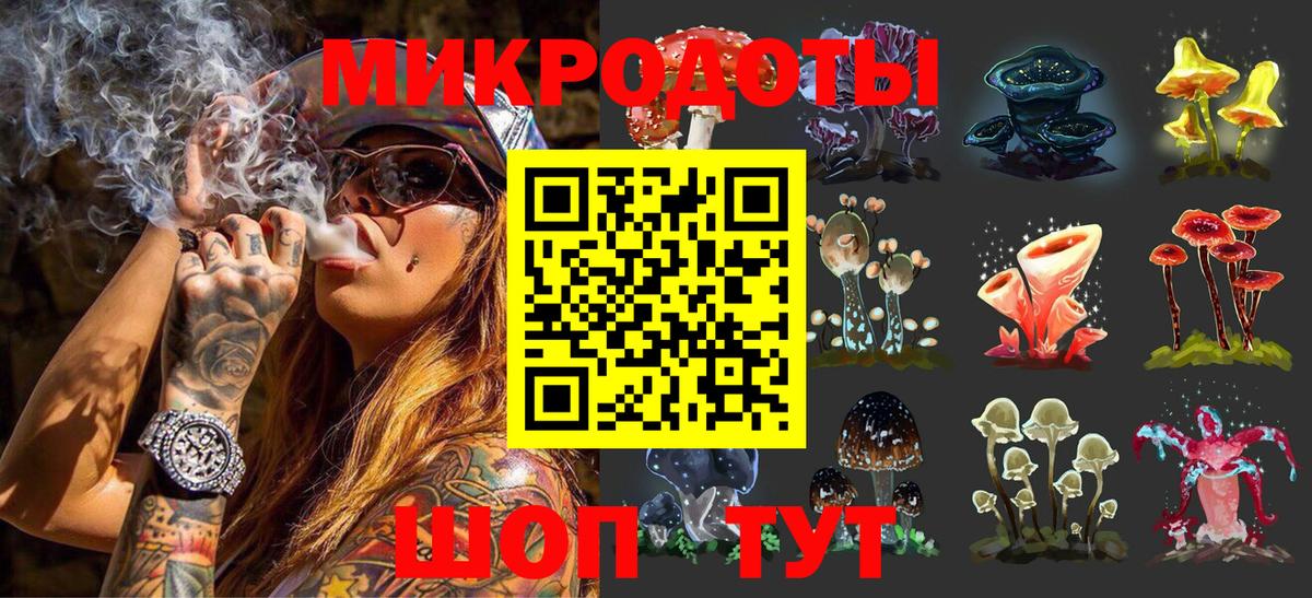 Псилоцибиновые грибы Cubensis Соликамск