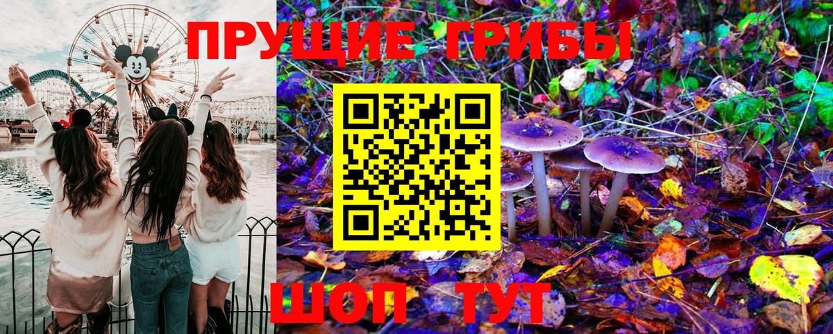 Соликамск  Галлюциногенные грибы Cubensis  Вход с VPN 