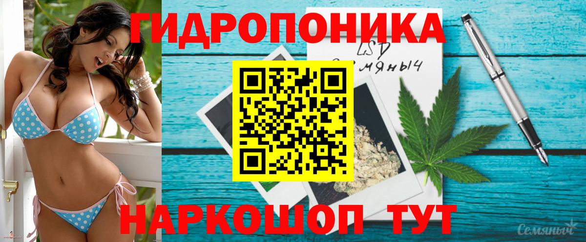 Бошки марихуана Bruce Banner  Марихуана тримм  Бошки марихуана VHQ  Вход с VPN  Марихуана VHQ  Соликамск 